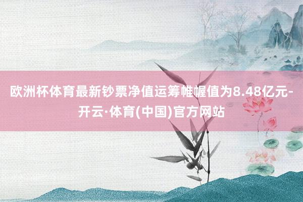 欧洲杯体育最新钞票净值运筹帷幄值为8.48亿元-开云·体育(中国)官方网站